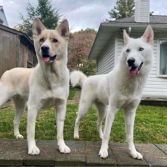 Meet your Seller/Buyer! ❤️ - Picture 4 of 4